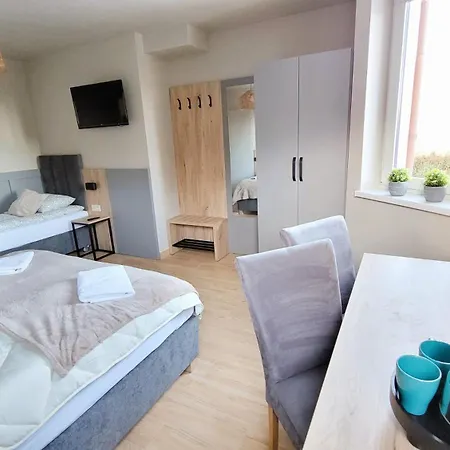 住宿加早餐酒店 Rosa Stronie Śląskie