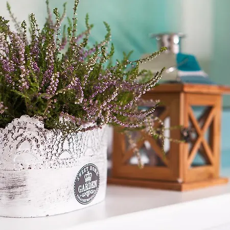 Rosa 3* Stronie Śląskie