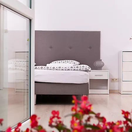 Rosa Stronie Śląskie